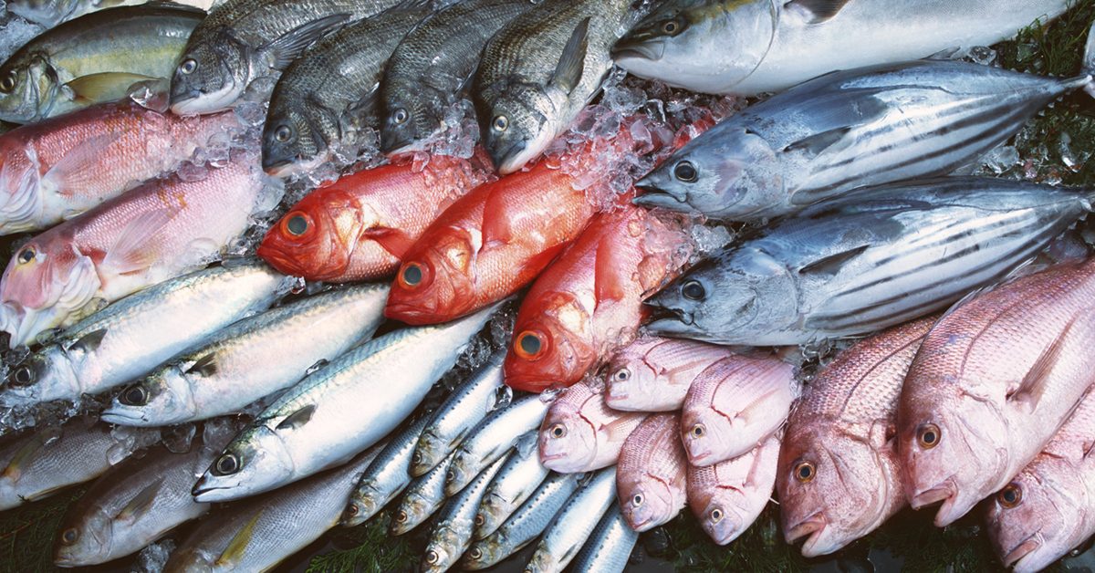 Seafood Fraud and Mislabeling