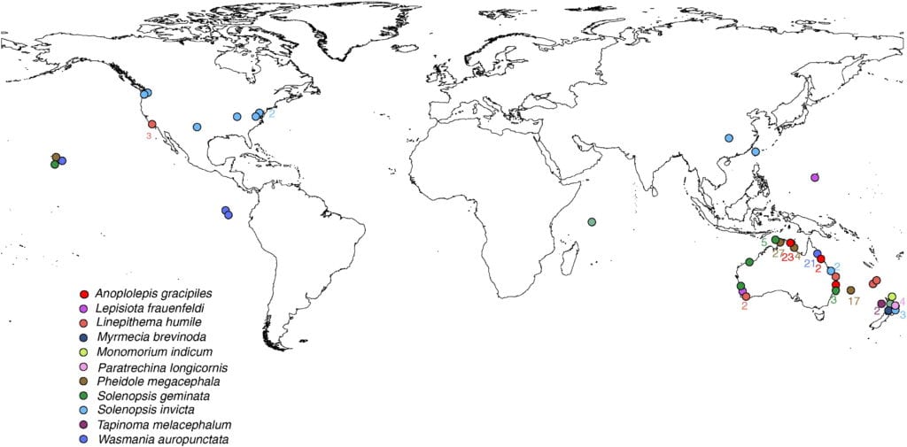 Ant Eradication Globally