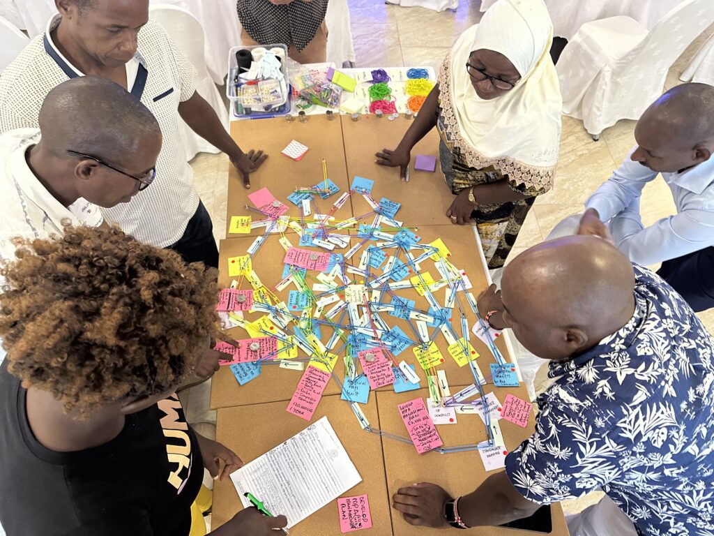 Systems Thinking & MPA Management